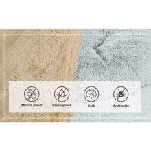 Load image into Gallery viewer, FALSE